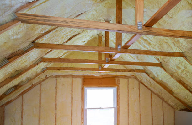 Best Spray Foam Insulation in Fowler, MI