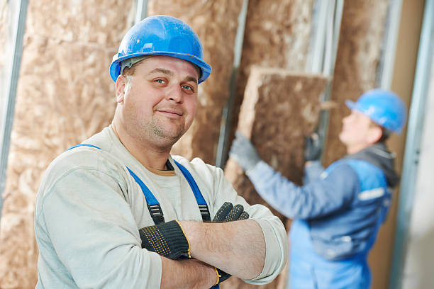 Best Residential Insulation in Fowler, MI